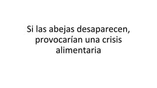 Si las abejas desaparecen,
provocarían una crisis
alimentaria
 