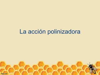 La acción polinizadora

 