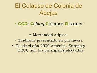 El Colapso de Colonia de
Abejas
• CCD: Colony Collapse Disorder
• Mortandad atípica.
• Síndrome presentado en primavera
• Desde el año 2000 América, Europa y
EEUU son los principales afectados

 