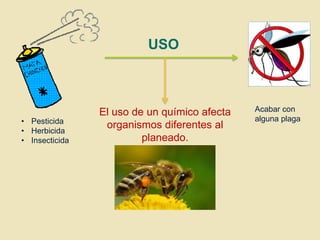 USO

• Pesticida
• Herbicida
• Insecticida

El uso de un químico afecta
organismos diferentes al
planeado.

Acabar con
alguna plaga

 
