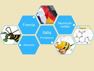 Neonicotinoides

Francia

Italia
Prohibieron
Alemania

 