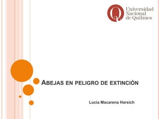 ABEJAS EN PELIGRO DE EXTINCIÓN

              Lucia Macarena Harsich
 