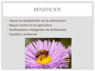 BENEFICIOS
• Atacar la desaparición de la polinización
• Mayor control en la agricultura
• dosificadores inteligentes de fertilizantes
• Equilibrio ambiental
 