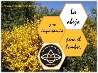 La abeja
La
abeja
para el
hombre.
y su
importancia
www.maestrabeja.blogspot.com
 