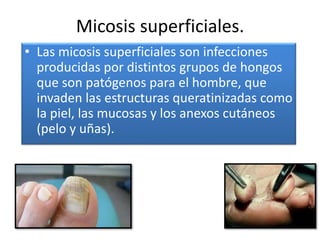 Micosis superficiales.
• Las micosis superficiales son infecciones
producidas por distintos grupos de hongos
que son patógenos para el hombre, que
invaden las estructuras queratinizadas como
la piel, las mucosas y los anexos cutáneos
(pelo y uñas).
 