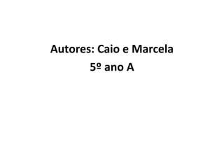 Autores: Caio e Marcela
5º ano A
 