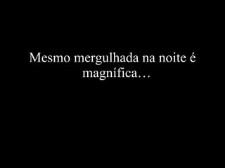 Mesmo mergulhada na noite é magnífica… 