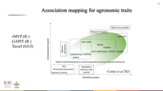 Whole genome sequencing of Napier grass (C. purpureus) accessions from sub-Saharan Africa