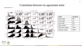 Whole genome sequencing of Napier grass (C. purpureus) accessions from sub-Saharan Africa