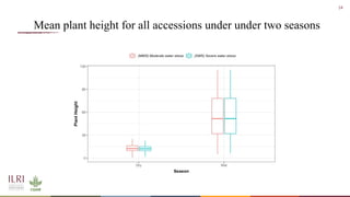 Whole genome sequencing of Napier grass (C. purpureus) accessions from sub-Saharan Africa