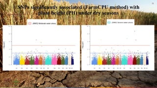 Whole genome sequencing of Napier grass (C. purpureus) accessions from sub-Saharan Africa