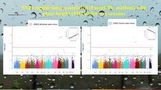 Whole genome sequencing of Napier grass (C. purpureus) accessions from sub-Saharan Africa