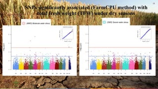Whole genome sequencing of Napier grass (C. purpureus) accessions from sub-Saharan Africa