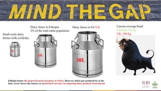 Whole genome sequencing of Napier grass (C. purpureus) accessions from sub-Saharan Africa