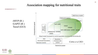 Whole genome sequencing of Napier grass (C. purpureus) accessions from sub-Saharan Africa