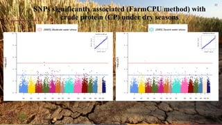 Whole genome sequencing of Napier grass (C. purpureus) accessions from sub-Saharan Africa