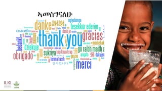 Whole genome sequencing of Napier grass (C. purpureus) accessions from sub-Saharan Africa