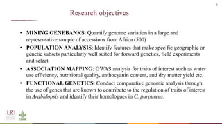 Whole genome sequencing of Napier grass (C. purpureus) accessions from sub-Saharan Africa