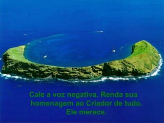 Cale a voz negativa. Renda sua
homenagem ao Criador de tudo.
           Ele merece.
 