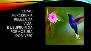 COMO
PERCEBER A
BELEZA DA
VIDA,
E USUFRUIR DA
FORMOSURA
DOVIVER?
 