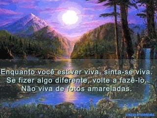 Enquanto você estiver viva, sinta-se viva.
 Se fizer algo diferente, volte a fazê-lo.
     Não viva de fotos amareladas.
 