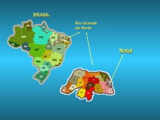 BRASIL
         Rio Grande
         do Norte




                      Natal
 
