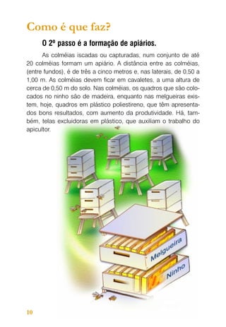 Como é que faz?
O 2º passo é a formação de apiários.
As colméias iscadas ou capturadas, num conjunto de até
20 colméias formam um apiário. A distância entre as colméias,
(entre fundos), é de três a cinco metros e, nas laterais, de 0,50 a
1,00 m. As colméias devem ficar em cavaletes, a uma altura de
cerca de 0,50 m do solo. Nas colméias, os quadros que são colocados no ninho são de madeira, enquanto nas melgueiras existem, hoje, quadros em plástico poliestireno, que têm apresentados bons resultados, com aumento da produtividade. Há, também, telas excluidoras em plástico, que auxiliam o trabalho do
apicultor.

10

 