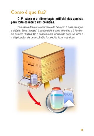 Como é que faz?
O 3º passo é a alimentação artificial das abelhas
para fortalecimento das colméias.
Para isso é feito o fornecimento de “xarope” à base de água
e açúcar. Esse “xarope” é substituído a cada três dias e é fornecido durante 60 dias. Se a colméia está fortalecida pode-se fazer a
multiplicação: de uma colméia fortalecida fazem-se duas.

11

 