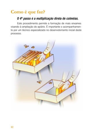 Como é que faz?
O 4º passo é a multiplicação direta de colméias.
Este procedimento permite a formação de mais enxames
visando à ampliação do apiário. É importante o acompanhamento por um técnico especializado no desenvolvimento inicial deste
processo.

12

 