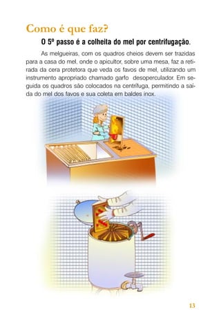 Como é que faz?
O 5º passo é a colheita do mel por centrifugação.
As melgueiras, com os quadros cheios devem ser trazidas
para a casa do mel, onde o apicultor, sobre uma mesa, faz a retirada da cera protetora que veda os favos de mel, utilizando um
instrumento apropriado chamado garfo desoperculador. Em seguida os quadros são colocados na centrífuga, permitindo a saída do mel dos favos e sua coleta em baldes inox.

13

 