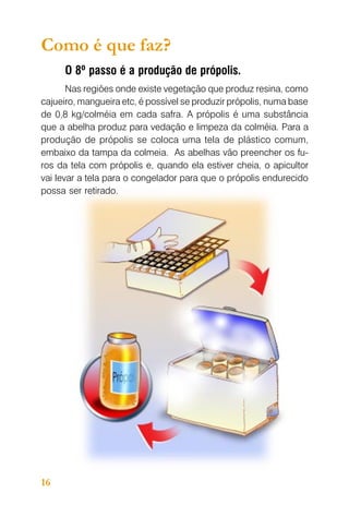 Como é que faz?
O 8º passo é a produção de própolis.
Nas regiões onde existe vegetação que produz resina, como
cajueiro, mangueira etc, é possível se produzir própolis, numa base
de 0,8 kg/colméia em cada safra. A própolis é uma substância
que a abelha produz para vedação e limpeza da colméia. Para a
produção de própolis se coloca uma tela de plástico comum,
embaixo da tampa da colmeia. As abelhas vão preencher os furos da tela com própolis e, quando ela estiver cheia, o apicultor
vai levar a tela para o congelador para que o própolis endurecido
possa ser retirado.

16

 