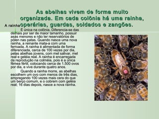 As abelhas vivem de forma muitoAs abelhas vivem de forma muito
organizada. Em cada colônia há uma rainha,organizada. Em cada colônia há uma rainha,
operárias, guardas, soldados e zangões.operárias, guardas, soldados e zangões.A rainhaA rainha
É única na colônia. Diferencia-se dasÉ única na colônia. Diferencia-se das
demais por ser de maior tamanho, possuirdemais por ser de maior tamanho, possuir
asas menores e não ter reservatórios deasas menores e não ter reservatórios de
pólen nas patas. Quando nasce uma novapólen nas patas. Quando nasce uma nova
rainha, a reinante mata-a com umarainha, a reinante mata-a com uma
ferroada. A rainha é alimentada de formaferroada. A rainha é alimentada de forma
diferenciada, cerca de 100 vezes por dia,diferenciada, cerca de 100 vezes por dia,
pelas abelhas jovens, com mel salivar, melpelas abelhas jovens, com mel salivar, mel
real e geléia real. A rainha é encarregadareal e geléia real. A rainha é encarregada
da reprodução na colméia, pois é a únicada reprodução na colméia, pois é a única
fêmea fértil, colocando cerca de 1.500 ovosfêmea fértil, colocando cerca de 1.500 ovos
por dia, e vive durante quatro anos.por dia, e vive durante quatro anos.
Quando a rainha morre, as abelhasQuando a rainha morre, as abelhas
escolhem um ovo com menos de três dias,escolhem um ovo com menos de três dias,
empregando 100 vezes mais cera do queempregando 100 vezes mais cera do que
um berço comum, e o cobrem com geléiaum berço comum, e o cobrem com geléia
real; 16 dias depois, nasce a nova rainha.real; 16 dias depois, nasce a nova rainha.
  
 