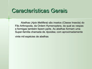Características GeraisCaracterísticas Gerais
Abelhas (Abelhas (Apis MelliferaApis Mellifera) são insetos (Classe Insecta) do) são insetos (Classe Insecta) do
Filo Arthropoda, da Ordem Hymenoptera, da qual as vespasFilo Arthropoda, da Ordem Hymenoptera, da qual as vespas
e formigas também fazem parte. As abelhas formam umae formigas também fazem parte. As abelhas formam uma
Super-família chamada deSuper-família chamada de ApoideaApoidea, com aproximadamente, com aproximadamente
vinte mil espécies de abelhasvinte mil espécies de abelhas
 