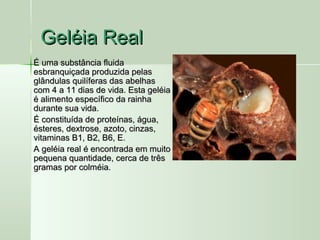 É uma substância fluidaÉ uma substância fluida
esbranquiçada produzida pelasesbranquiçada produzida pelas
glândulas quilíferas das abelhasglândulas quilíferas das abelhas
com 4 a 11 dias de vida. Esta geléiacom 4 a 11 dias de vida. Esta geléia
é alimento específico da rainhaé alimento específico da rainha
durante sua vida.durante sua vida.
É constituída de proteínas, água,É constituída de proteínas, água,
ésteres, dextrose, azoto, cinzas,ésteres, dextrose, azoto, cinzas,
vitaminas B1, B2, B6, E.vitaminas B1, B2, B6, E.
A gelA gelééia realia real éé encontrada em muitoencontrada em muito
pequena quantidade, cerca de trêspequena quantidade, cerca de três
gramas por colmgramas por colmééia.ia.
Geléia RealGeléia Real
 