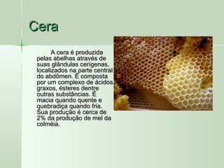 CeraCera
A cera é produzidaA cera é produzida
pelas abelhas através depelas abelhas através de
suas glândulas cerígenas,suas glândulas cerígenas,
localizados na parte centrallocalizados na parte central
do abdômen. É compostado abdômen. É composta
por um complexo de ácidospor um complexo de ácidos
graxos, ésteres dentregraxos, ésteres dentre
outras substâncias. Éoutras substâncias. É
macia quando quente emacia quando quente e
quebradiça quando fria.quebradiça quando fria.
Sua produção é cerca deSua produção é cerca de
2% da produção de mel da2% da produção de mel da
colméia.colméia.
 
