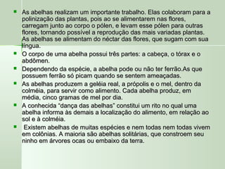  As abelhas realizam um importante trabalho. Elas colaboram para aAs abelhas realizam um importante trabalho. Elas colaboram para a
polinização das plantas, pois ao se alimentarem nas flores,polinização das plantas, pois ao se alimentarem nas flores,
carregam junto ao corpo o pólen, e levam esse pólen para outrascarregam junto ao corpo o pólen, e levam esse pólen para outras
flores, tornando possível a reprodução das mais variadas plantas.flores, tornando possível a reprodução das mais variadas plantas.
As abelhas se alimentam do néctar das flores, que sugam com suaAs abelhas se alimentam do néctar das flores, que sugam com sua
língua.língua.
 O corpo de uma abelha possui três partes: a cabeça, o tórax e oO corpo de uma abelha possui três partes: a cabeça, o tórax e o
abdômen.abdômen.
 Dependendo da espécie, a abelha pode ou não ter ferrão.As queDependendo da espécie, a abelha pode ou não ter ferrão.As que
possuem ferrão só picam quando se sentem ameaçadas.possuem ferrão só picam quando se sentem ameaçadas.
 As abelhas produzem a geléia real, a própolis e o mel, dentro daAs abelhas produzem a geléia real, a própolis e o mel, dentro da
colméia, para servir como alimento. Cada abelha produz, emcolméia, para servir como alimento. Cada abelha produz, em
média, cinco gramas de mel por dia.média, cinco gramas de mel por dia.
 A conhecida “dança das abelhas” constitui um rito no qual umaA conhecida “dança das abelhas” constitui um rito no qual uma
abelha informa às demais a localização do alimento, em relação aoabelha informa às demais a localização do alimento, em relação ao
sol e à colméia.sol e à colméia.
 Existem abelhas de muitas espécies e nem todas nem todas vivemExistem abelhas de muitas espécies e nem todas nem todas vivem
em colônias. A maioria são abelhas solitárias, que constroem seuem colônias. A maioria são abelhas solitárias, que constroem seu
ninho em árvores ocas ou embaixo da terra.ninho em árvores ocas ou embaixo da terra.
 