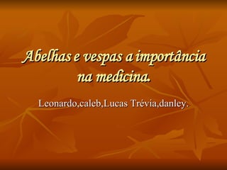 Abelhas e vespas a importância na medicina . Leonardo,caleb,Lucas Trévia,danley. 