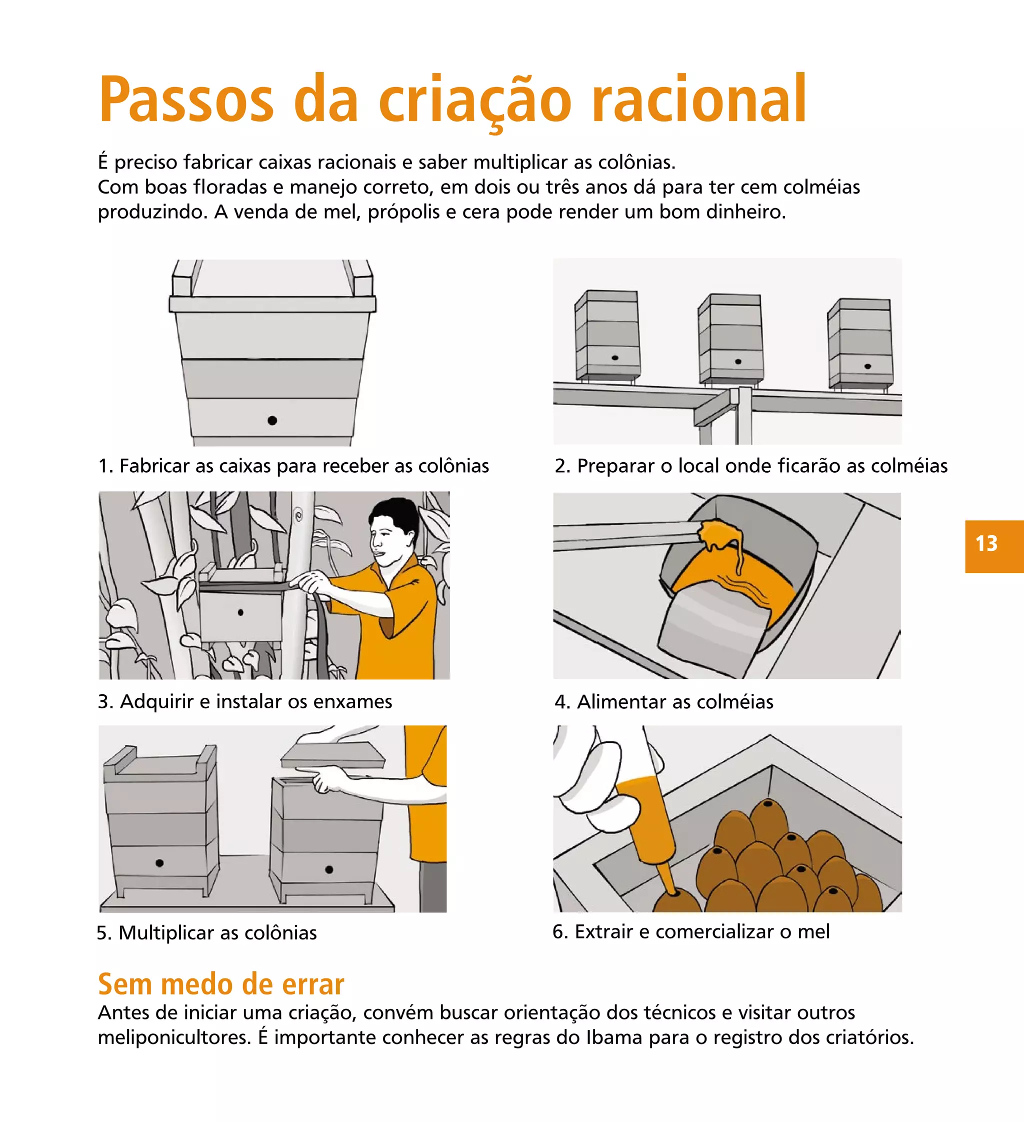 13
Passos da criação racional
Sem medo de errar
Antes de iniciar uma criação, convém buscar orientação dos técnicos e visitar outros
meliponicultores. É importante conhecer as regras do Ibama para o registro dos criatórios.
2. Preparar o local onde ﬁcarão as colméias1. Fabricar as caixas para receber as colônias
3. Adquirir e instalar os enxames 4. Alimentar as colméias
5. Multiplicar as colônias 6. Extrair e comercializar o mel
É preciso fabricar caixas racionais e saber multiplicar as colônias.
Com boas ﬂoradas e manejo correto, em dois ou três anos dá para ter cem colméias
produzindo. A venda de mel, própolis e cera pode render um bom dinheiro.
 