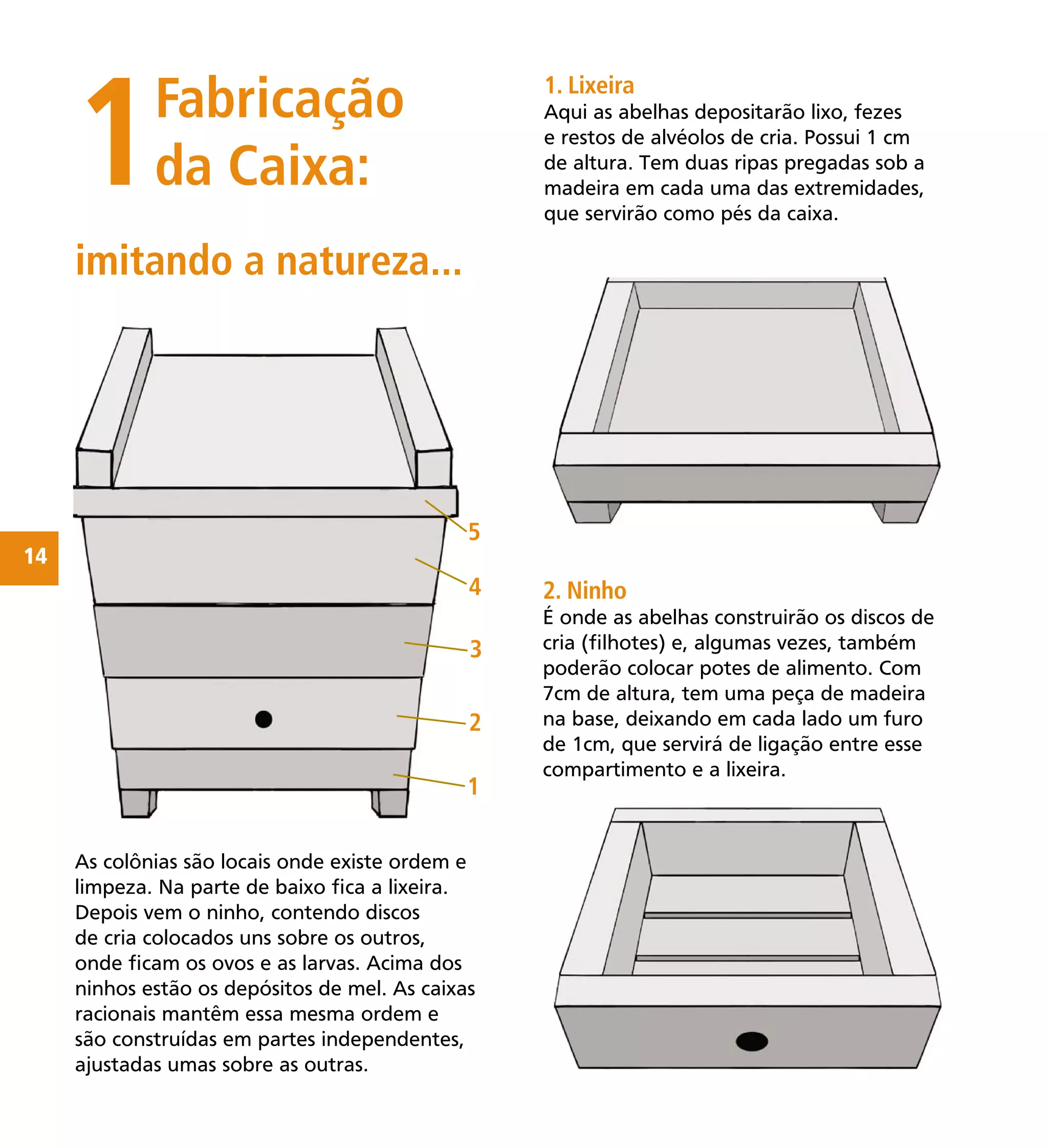 14
As colônias são locais onde existe ordem e
limpeza. Na parte de baixo ﬁca a lixeira.
Depois vem o ninho, contendo discos
de cria colocados uns sobre os outros,
onde ﬁcam os ovos e as larvas. Acima dos
ninhos estão os depósitos de mel. As caixas
racionais mantêm essa mesma ordem e
são construídas em partes independentes,
ajustadas umas sobre as outras.
1Fabricação
da Caixa:
imitando a natureza...
2. Ninho
É onde as abelhas construirão os discos de
cria (ﬁlhotes) e, algumas vezes, também
poderão colocar potes de alimento. Com
7cm de altura, tem uma peça de madeira
na base, deixando em cada lado um furo
de 1cm, que servirá de ligação entre esse
compartimento e a lixeira.
1. Lixeira
Aqui as abelhas depositarão lixo, fezes
e restos de alvéolos de cria. Possui 1 cm
de altura. Tem duas ripas pregadas sob a
madeira em cada uma das extremidades,
que servirão como pés da caixa.
1
2
3
5
4
 