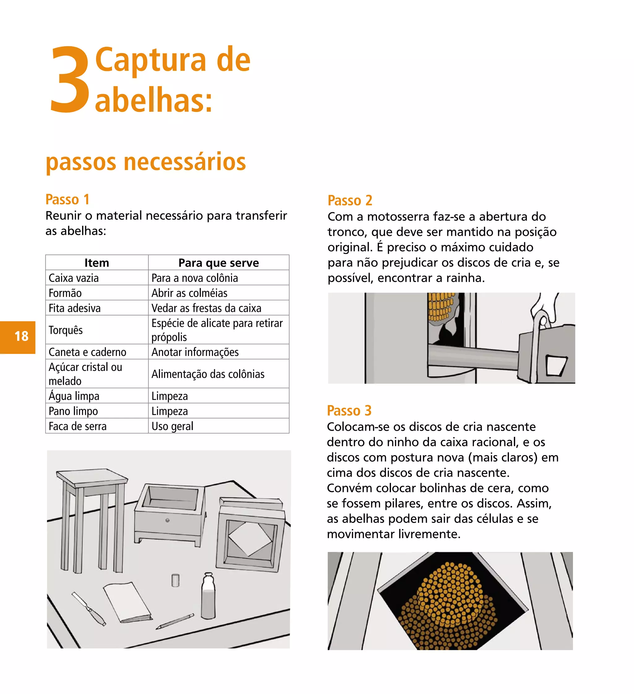 18
Passo 1
Reunir o material necessário para transferir
as abelhas:
Item Para que serve
Caixa vazia Para a nova colônia
Formão Abrir as colméias
Fita adesiva Vedar as frestas da caixa
Torquês
Espécie de alicate para retirar
própolis
Caneta e caderno Anotar informações
Açúcar cristal ou
melado
Alimentação das colônias
Água limpa Limpeza
Pano limpo Limpeza
Faca de serra Uso geral
3Captura de
abelhas:
passos necessários
Passo 2
Com a motosserra faz-se a abertura do
tronco, que deve ser mantido na posição
original. É preciso o máximo cuidado
para não prejudicar os discos de cria e, se
possível, encontrar a rainha.
Passo 3
Colocam-se os discos de cria nascente
dentro do ninho da caixa racional, e os
discos com postura nova (mais claros) em
cima dos discos de cria nascente.
Convém colocar bolinhas de cera, como
se fossem pilares, entre os discos. Assim,
as abelhas podem sair das células e se
movimentar livremente.
 