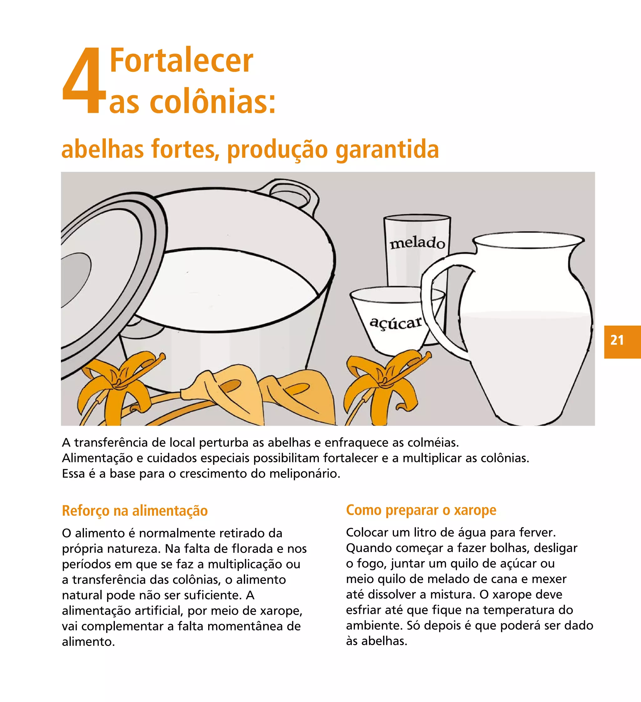 21
4Fortalecer
as colônias:
Reforço na alimentação
O alimento é normalmente retirado da
própria natureza. Na falta de ﬂorada e nos
períodos em que se faz a multiplicação ou
a transferência das colônias, o alimento
natural pode não ser suﬁciente. A
alimentação artiﬁcial, por meio de xarope,
vai complementar a falta momentânea de
alimento.
abelhas fortes, produção garantida
A transferência de local perturba as abelhas e enfraquece as colméias.
Alimentação e cuidados especiais possibilitam fortalecer e a multiplicar as colônias.
Essa é a base para o crescimento do meliponário.
Como preparar o xarope
Colocar um litro de água para ferver.
Quando começar a fazer bolhas, desligar
o fogo, juntar um quilo de açúcar ou
meio quilo de melado de cana e mexer
até dissolver a mistura. O xarope deve
esfriar até que ﬁque na temperatura do
ambiente. Só depois é que poderá ser dado
às abelhas.
 