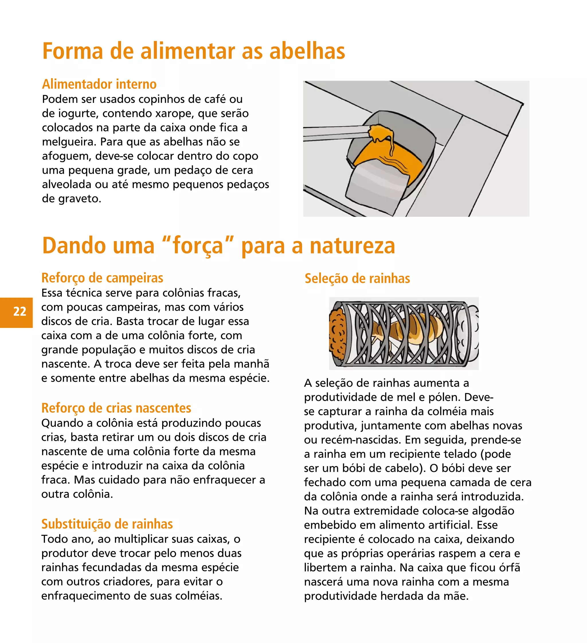 22
Alimentador interno
Podem ser usados copinhos de café ou
de iogurte, contendo xarope, que serão
colocados na parte da caixa onde ﬁca a
melgueira. Para que as abelhas não se
afoguem, deve-se colocar dentro do copo
uma pequena grade, um pedaço de cera
alveolada ou até mesmo pequenos pedaços
de graveto.
Reforço de campeiras
Essa técnica serve para colônias fracas,
com poucas campeiras, mas com vários
discos de cria. Basta trocar de lugar essa
caixa com a de uma colônia forte, com
grande população e muitos discos de cria
nascente. A troca deve ser feita pela manhã
e somente entre abelhas da mesma espécie.
Reforço de crias nascentes
Quando a colônia está produzindo poucas
crias, basta retirar um ou dois discos de cria
nascente de uma colônia forte da mesma
espécie e introduzir na caixa da colônia
fraca. Mas cuidado para não enfraquecer a
outra colônia.
Substituição de rainhas
Todo ano, ao multiplicar suas caixas, o
produtor deve trocar pelo menos duas
rainhas fecundadas da mesma espécie
com outros criadores, para evitar o
enfraquecimento de suas colméias.
Forma de alimentar as abelhas
Dando uma “força” para a natureza
A seleção de rainhas aumenta a
produtividade de mel e pólen. Deve-
se capturar a rainha da colméia mais
produtiva, juntamente com abelhas novas
ou recém-nascidas. Em seguida, prende-se
a rainha em um recipiente telado (pode
ser um bóbi de cabelo). O bóbi deve ser
fechado com uma pequena camada de cera
da colônia onde a rainha será introduzida.
Na outra extremidade coloca-se algodão
embebido em alimento artiﬁcial. Esse
recipiente é colocado na caixa, deixando
que as próprias operárias raspem a cera e
libertem a rainha. Na caixa que ﬁcou órfã
nascerá uma nova rainha com a mesma
produtividade herdada da mãe.
Seleção de rainhas
 