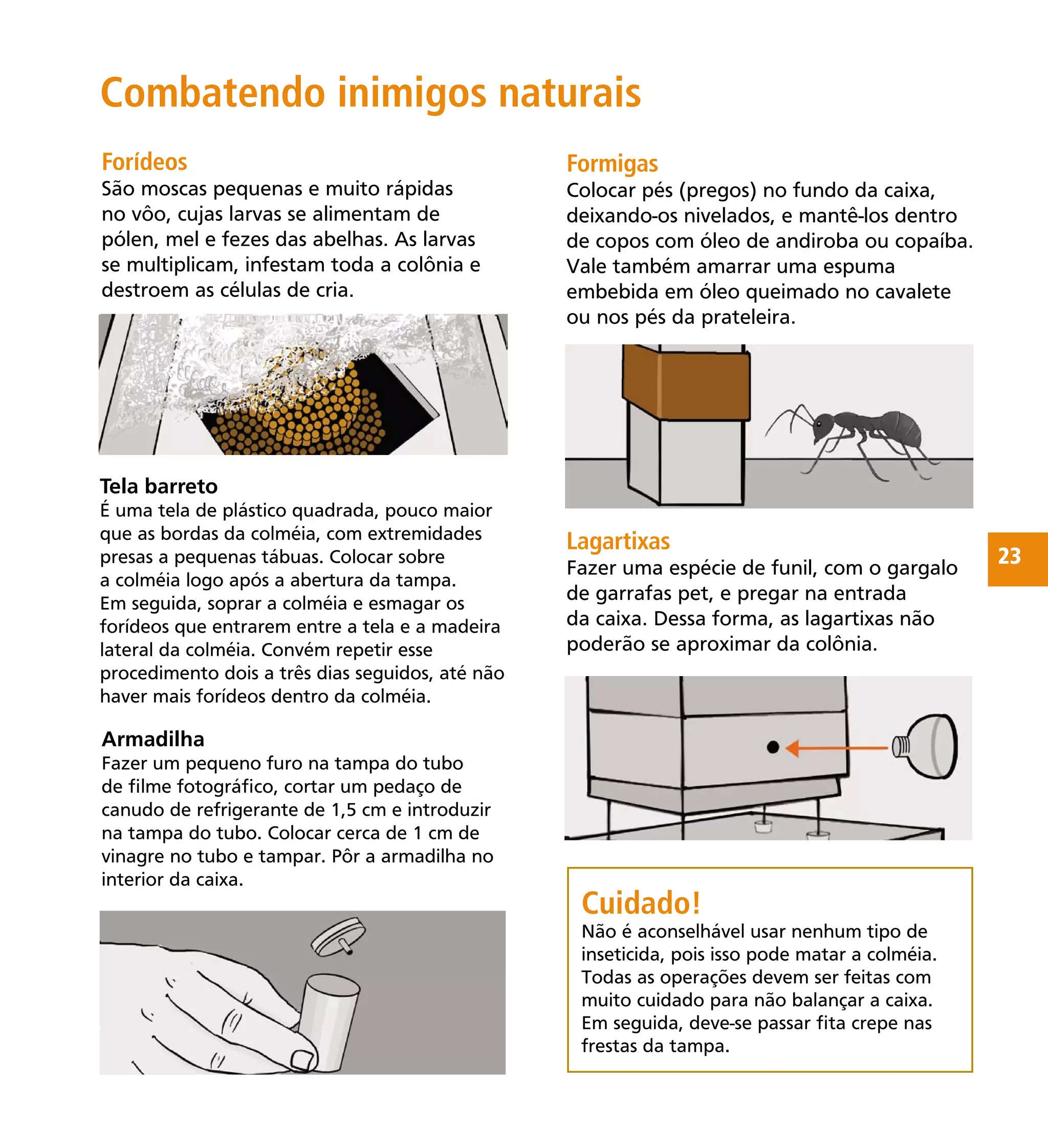23
Não é aconselhável usar nenhum tipo de
inseticida, pois isso pode matar a colméia.
Todas as operações devem ser feitas com
muito cuidado para não balançar a caixa.
Em seguida, deve-se passar ﬁta crepe nas
frestas da tampa.
Formigas
Colocar pés (pregos) no fundo da caixa,
deixando-os nivelados, e mantê-los dentro
de copos com óleo de andiroba ou copaíba.
Vale também amarrar uma espuma
embebida em óleo queimado no cavalete
ou nos pés da prateleira.
Lagartixas
Fazer uma espécie de funil, com o gargalo
de garrafas pet, e pregar na entrada
da caixa. Dessa forma, as lagartixas não
poderão se aproximar da colônia.
Combatendo inimigos naturais
Tela barreto
É uma tela de plástico quadrada, pouco maior
que as bordas da colméia, com extremidades
presas a pequenas tábuas. Colocar sobre
a colméia logo após a abertura da tampa.
Em seguida, soprar a colméia e esmagar os
forídeos que entrarem entre a tela e a madeira
lateral da colméia. Convém repetir esse
procedimento dois a três dias seguidos, até não
haver mais forídeos dentro da colméia.
Cuidado!
Forídeos
São moscas pequenas e muito rápidas
no vôo, cujas larvas se alimentam de
pólen, mel e fezes das abelhas. As larvas
se multiplicam, infestam toda a colônia e
destroem as células de cria.
Armadilha
Fazer um pequeno furo na tampa do tubo
de ﬁlme fotográﬁco, cortar um pedaço de
canudo de refrigerante de 1,5 cm e introduzir
na tampa do tubo. Colocar cerca de 1 cm de
vinagre no tubo e tampar. Pôr a armadilha no
interior da caixa.
 