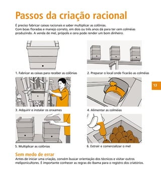13
Passos da criação racional
Sem medo de errar
Antes de iniciar uma criação, convém buscar orientação dos técnicos e visitar outros
meliponicultores. É importante conhecer as regras do Ibama para o registro dos criatórios.
2. Preparar o local onde ﬁcarão as colméias1. Fabricar as caixas para receber as colônias
3. Adquirir e instalar os enxames 4. Alimentar as colméias
5. Multiplicar as colônias 6. Extrair e comercializar o mel
É preciso fabricar caixas racionais e saber multiplicar as colônias.
Com boas ﬂoradas e manejo correto, em dois ou três anos dá para ter cem colméias
produzindo. A venda de mel, própolis e cera pode render um bom dinheiro.
 
