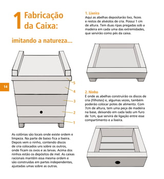 14
As colônias são locais onde existe ordem e
limpeza. Na parte de baixo ﬁca a lixeira.
Depois vem o ninho, contendo discos
de cria colocados uns sobre os outros,
onde ﬁcam os ovos e as larvas. Acima dos
ninhos estão os depósitos de mel. As caixas
racionais mantêm essa mesma ordem e
são construídas em partes independentes,
ajustadas umas sobre as outras.
1Fabricação
da Caixa:
imitando a natureza...
2. Ninho
É onde as abelhas construirão os discos de
cria (ﬁlhotes) e, algumas vezes, também
poderão colocar potes de alimento. Com
7cm de altura, tem uma peça de madeira
na base, deixando em cada lado um furo
de 1cm, que servirá de ligação entre esse
compartimento e a lixeira.
1. Lixeira
Aqui as abelhas depositarão lixo, fezes
e restos de alvéolos de cria. Possui 1 cm
de altura. Tem duas ripas pregadas sob a
madeira em cada uma das extremidades,
que servirão como pés da caixa.
1
2
3
5
4
 