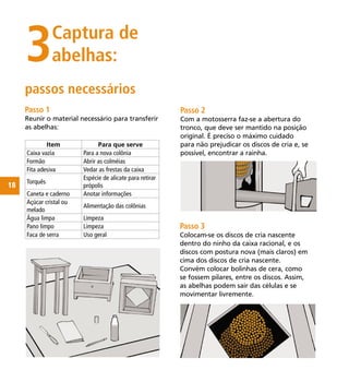 18
Passo 1
Reunir o material necessário para transferir
as abelhas:
Item Para que serve
Caixa vazia Para a nova colônia
Formão Abrir as colméias
Fita adesiva Vedar as frestas da caixa
Torquês
Espécie de alicate para retirar
própolis
Caneta e caderno Anotar informações
Açúcar cristal ou
melado
Alimentação das colônias
Água limpa Limpeza
Pano limpo Limpeza
Faca de serra Uso geral
3Captura de
abelhas:
passos necessários
Passo 2
Com a motosserra faz-se a abertura do
tronco, que deve ser mantido na posição
original. É preciso o máximo cuidado
para não prejudicar os discos de cria e, se
possível, encontrar a rainha.
Passo 3
Colocam-se os discos de cria nascente
dentro do ninho da caixa racional, e os
discos com postura nova (mais claros) em
cima dos discos de cria nascente.
Convém colocar bolinhas de cera, como
se fossem pilares, entre os discos. Assim,
as abelhas podem sair das células e se
movimentar livremente.
 