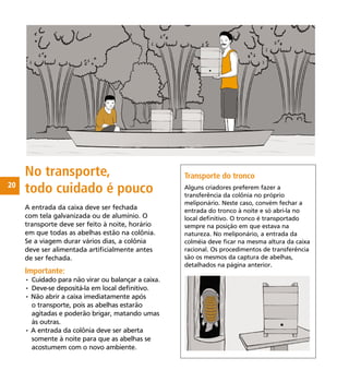 20
No transporte,
todo cuidado é pouco
A entrada da caixa deve ser fechada
com tela galvanizada ou de alumínio. O
transporte deve ser feito à noite, horário
em que todas as abelhas estão na colônia.
Se a viagem durar vários dias, a colônia
deve ser alimentada artiﬁcialmente antes
de ser fechada.
Importante:
• Cuidado para não virar ou balançar a caixa.
• Deve-se depositá-la em local deﬁnitivo.
• Não abrir a caixa imediatamente após
o transporte, pois as abelhas estarão
agitadas e poderão brigar, matando umas
às outras.
• A entrada da colônia deve ser aberta
somente à noite para que as abelhas se
acostumem com o novo ambiente.
ilustração com caixas de abelha sen-
do colocadas dentro do barco
ilustração com tronco, ao lado
de caixa de abelha próximo a um
meliponário
Transporte do tronco
Alguns criadores preferem fazer a
transferência da colônia no próprio
meliponário. Neste caso, convém fechar a
entrada do tronco à noite e só abri-la no
local deﬁnitivo. O tronco é transportado
sempre na posição em que estava na
natureza. No meliponário, a entrada da
colméia deve ﬁcar na mesma altura da caixa
racional. Os procedimentos de transferência
são os mesmos da captura de abelhas,
detalhados na página anterior.
 