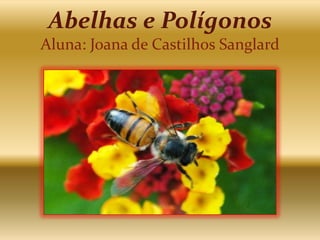Abelhas e PolígonosAluna: Joana de Castilhos Sanglard 