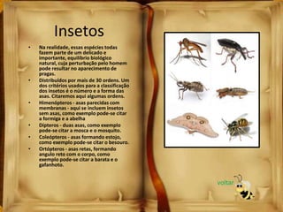 • Na realidade, essas espécies todas
fazem parte de um delicado e
importante, equilíbrio biológico
natural, cuja perturbação pelo homem
pode resultar no aparecimento de
pragas.
• Distribuídos por mais de 30 ordens. Um
dos critérios usados para a classificação
dos insetos é o número e a forma das
asas. Citaremos aqui algumas ordens.
• Himenópteros - asas parecidas com
membranas - aqui se incluem insetos
sem asas, como exemplo pode-se citar
a formiga e a abelha
• Dípteros - duas asas, como exemplo
pode-se citar a mosca e o mosquito.
• Coleópteros - asas formando estojo,
como exemplo pode-se citar o besouro.
• Ortópteros - asas retas, formando
angulo reto com o corpo, como
exemplo pode-se citar a barata e o
gafanhoto.
Insetos
voltar
 