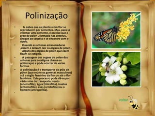 Polinização
• Ja sabes que as plantas com flor se
reproduzem por sementes. Mas ,para se
vformar uma semente, é preciso que o
grao de polen , formado nas antenas ,
chegue ao carpelo e se encontre com o
óvulo.
• Quando as antenas estao maduras
,abrem e deixam cair os orgaos de polen .
Alguns dos orgaos de polen que caem
fixam-se estigma.
• A passagem dos orgaos de polen das
antenas para o estigma chama-se
polinizaçao e pode ocorrer de varias
formas .
• A polinização é o transporte do grão de
pólen (que reúne os gametas masculinos)
até o órgão feminino da flor ou até a flor
feminina. Este processo pode dá-se por
várias vias de transporte: vento
(anemofilia), água (hidrofilia), insetos
(entomofilia), aves (ornitofilia) ou o
homem (antropofilia).
•
voltar
 